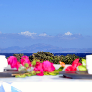 θεα Ξενοδοχειου